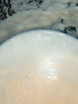 Batido de Guanábana